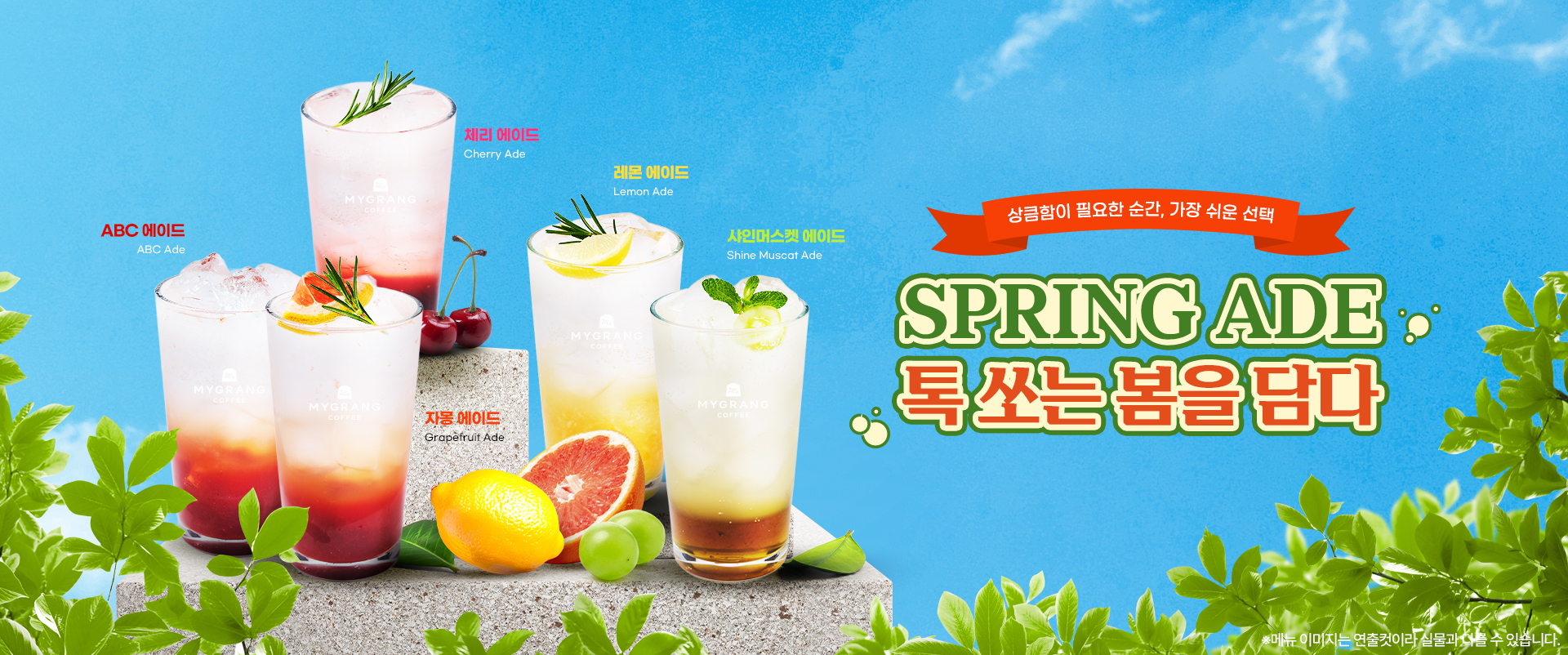 마이그랑 신제품 출시